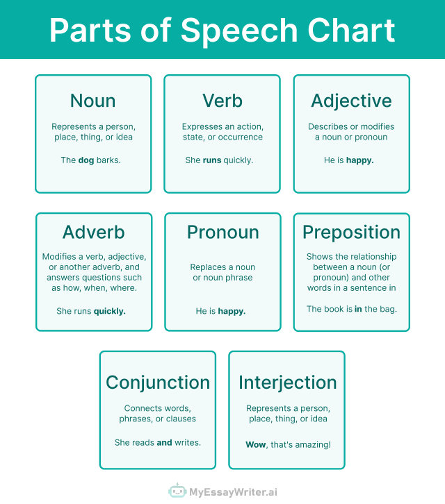 8 parts of speech infographic - MyEssayWriter.ai