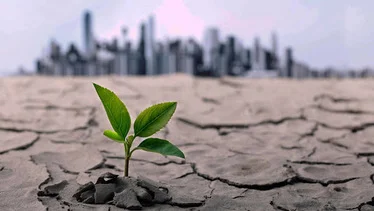 Effects Of Climate Change On Global Economies